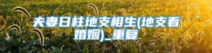 夫妻日柱地支相生(地支看婚姻)_重复