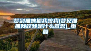 梦到猫咪抓我咬我(梦见猫抓我咬我是什么意思)_重复