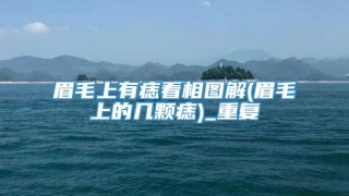 眉毛上有痣看相图解(眉毛上的几颗痣)_重复