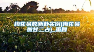 梅花易数断卦实例(梅花易数甘二占)_重复