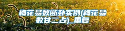 梅花易数断卦实例(梅花易数甘二占)_重复