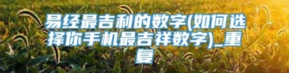 易经最吉利的数字(如何选择你手机最吉祥数字)_重复