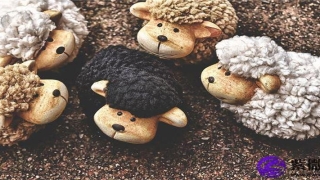 面相分析：高低眉