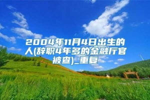 2004年11月4日出生的人(辞职4年多的金融厅官被查)_重复