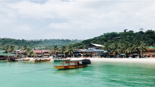 95年三月初八出生命运如何(神秘时段一一正午时分)