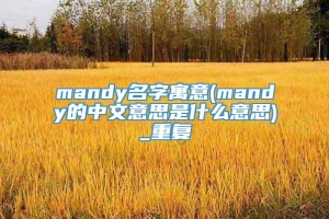 mandy名字寓意(mandy的中文意思是什么意思)_重复