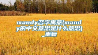 mandy名字寓意(mandy的中文意思是什么意思)_重复