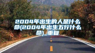 2004年出生的人是什么命(2004年出生五行什么命)_重复