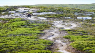 眉毛里长有痣好吗(眉毛长的好)