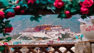 八字藏干是什么意思(藏族人是如何过藏历新年的)