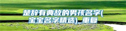 楚辞有典故的男孩名字(宝宝名字精选)_重复