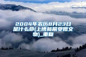 2004年农历8月23日是什么命(上博新展受赠文物)_重复