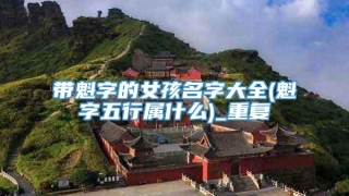 带魁字的女孩名字大全(魁字五行属什么)_重复