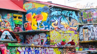 带木字旁的女孩名字大全(女孩木字旁取名大全)