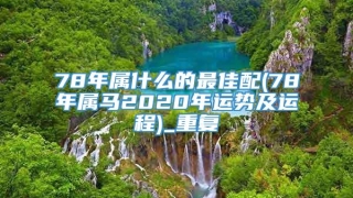 78年属什么的最佳配(78年属马2020年运势及运程)_重复