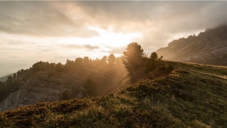 87属兔的一生财运(87年今年财运如何)