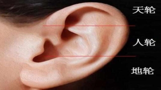 看相算命图解(从你耳朵面相)