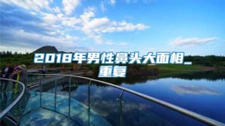 2018年男性鼻头大面相_重复