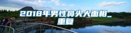 2018年男性鼻头大面相_重复