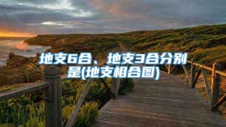 地支6合、地支3合分别是(地支相合图)