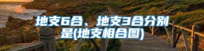 地支6合、地支3合分别是(地支相合图)