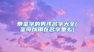 带玺字的男孩名字大全(玺可以用在名字里么)