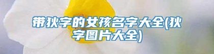 带狄字的女孩名字大全(狄字图片大全)