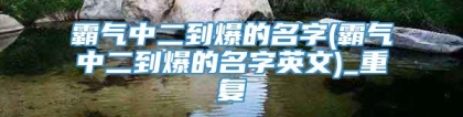 霸气中二到爆的名字(霸气中二到爆的名字英文)_重复