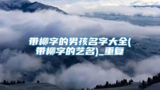 带柳字的男孩名字大全(带柳字的艺名)_重复