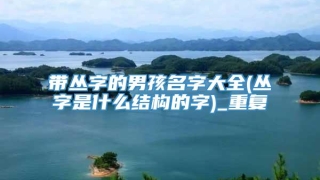 带丛字的男孩名字大全(丛字是什么结构的字)_重复