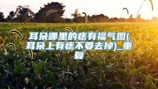 耳朵哪里的痣有福气图(耳朵上有痣不要去掉)_重复