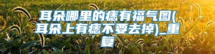 耳朵哪里的痣有福气图(耳朵上有痣不要去掉)_重复