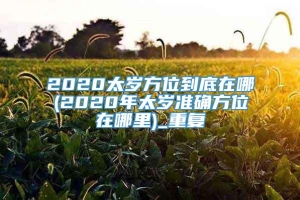 2020太岁方位到底在哪(2020年太岁准确方位在哪里)_重复