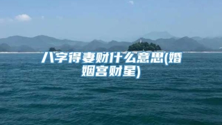 八字得妻财什么意思(婚姻宫财星)