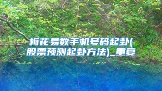 梅花易数手机号码起卦(股票预测起卦方法)_重复
