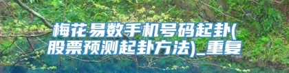 梅花易数手机号码起卦(股票预测起卦方法)_重复