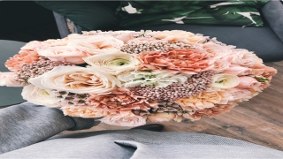 带骄字的宝宝名字(娇字属于五行属什么)