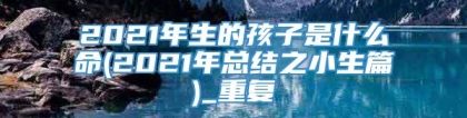 2021年生的孩子是什么命(2021年总结之小生篇)_重复