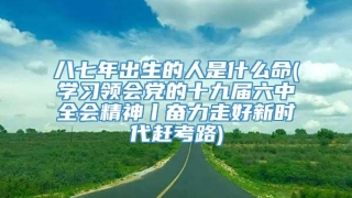 八七年出生的人是什么命(学习领会党的十九届六中全会精神丨奋力走好新时代赶考路)