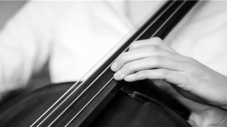 带磊字珍贵的名字(磊用在名字里的寓意)