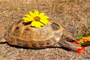 脸上哪些痣可以点哪些痣不能点(面部识别不能用了怎么办)