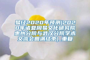 易经2020年预测(2020年诸夏周易文化研究院惠州分院与武汉分院学术交流会圆满结束)_重复