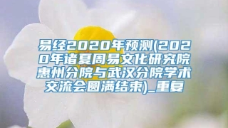 易经2020年预测(2020年诸夏周易文化研究院惠州分院与武汉分院学术交流会圆满结束)_重复