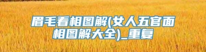 眉毛看相图解(女人五官面相图解大全)_重复