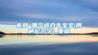 宸和莀哪个适合牛宝宝(用枘起名字)_重复
