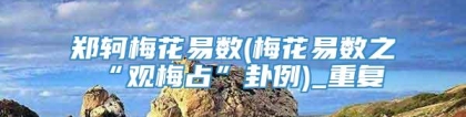 郑轲梅花易数(梅花易数之“观梅占”卦例)_重复