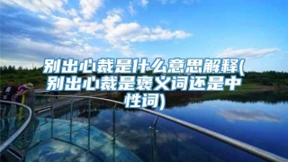 别出心裁是什么意思解释(别出心裁是褒义词还是中性词)