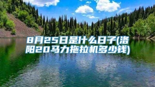 8月25日是什么日子(洛阳20马力拖拉机多少钱)