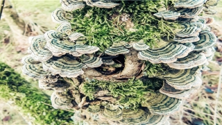 测一测自己的婚姻(你爱人花心吗)