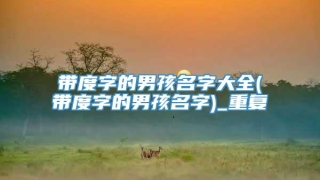 带度字的男孩名字大全(带度字的男孩名字)_重复